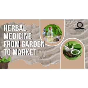 Herbal Medicine From Garden To Market